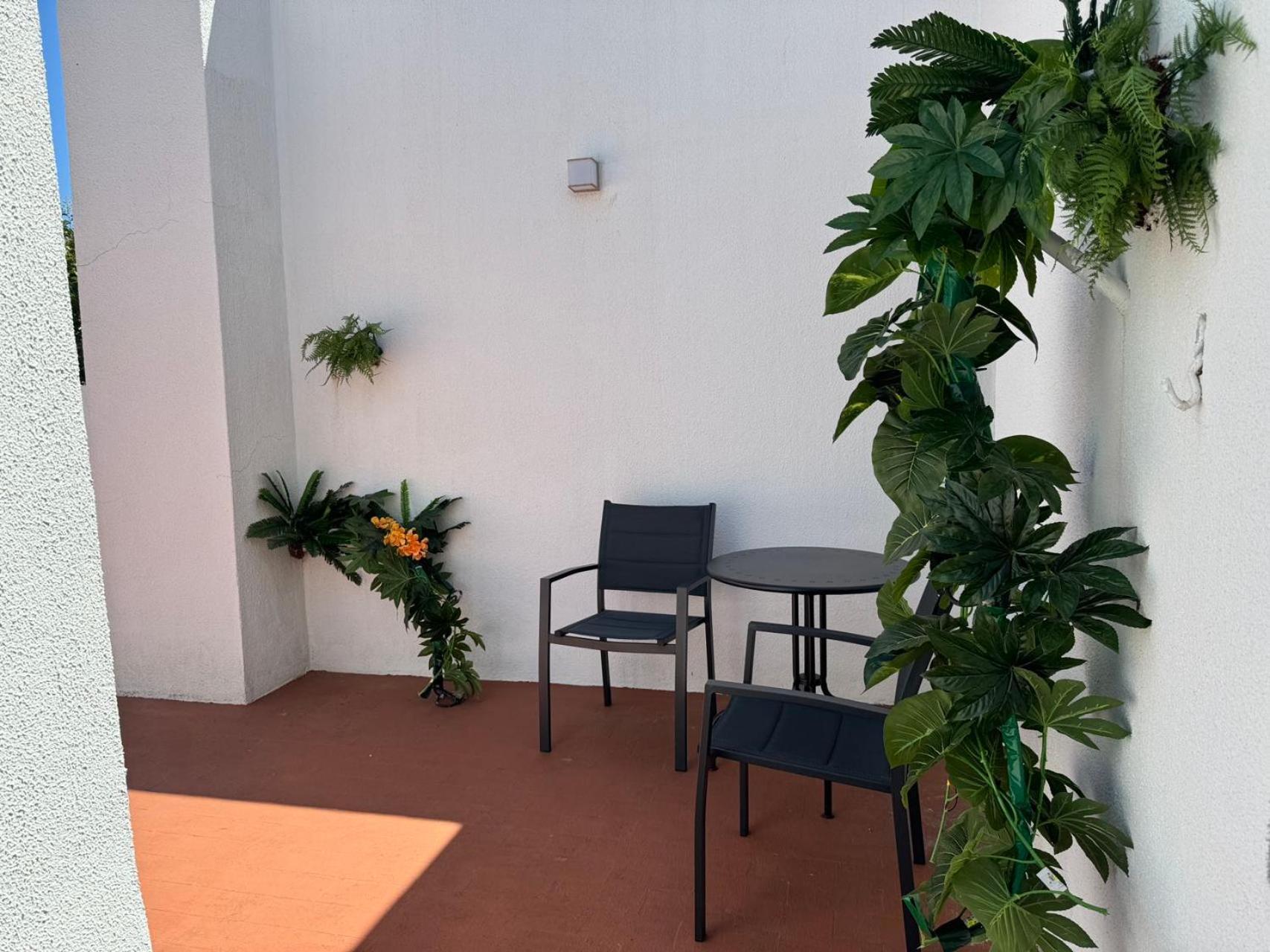Aomo Art Space Hostel Оэйраш Экстерьер фото